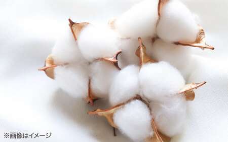 ボタニカルマスクホワイト ７枚入２袋[AQAD006] マスク