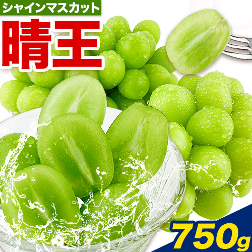 ぶどう【2026年先行予約】シャインマスカット 晴王 1房 750g 岡山県産《2026年9月上旬-10月末頃出荷(土日祝除く)》 ハレノフルーツ マスカット 送料無料 岡山県 浅口市 フルーツ 果物 贈り物 ギフト 国産 岡山県産 くだもの 青果物 【配送不可地域あり】
