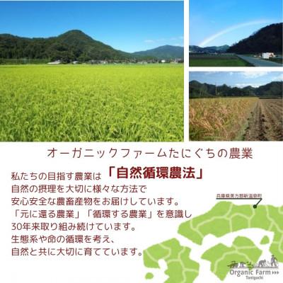ふるさと納税 新温泉町 2026年1月発送予定【無添加】ご飯パック20個　栽培期間中農薬不使用米のパックご飯 |  | 01