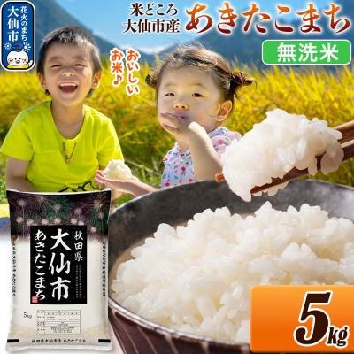 ふるさと納税 大仙市 米 あきたこまち【無洗米】 令和7年産 5kg|22_ssn-030501_sf
