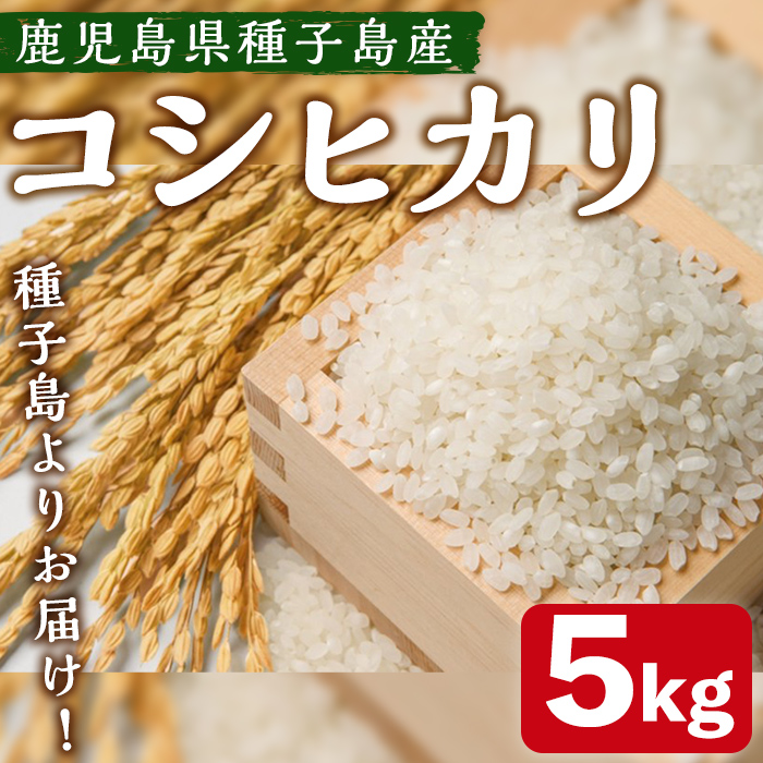 n359 ＜期間限定！＞種子島のお米！コシヒカリ(5kg) 国産 鹿児島県産 種子島 コシヒカリ こしひかり 米 お米 おこめ 白米 【なかたね農産】