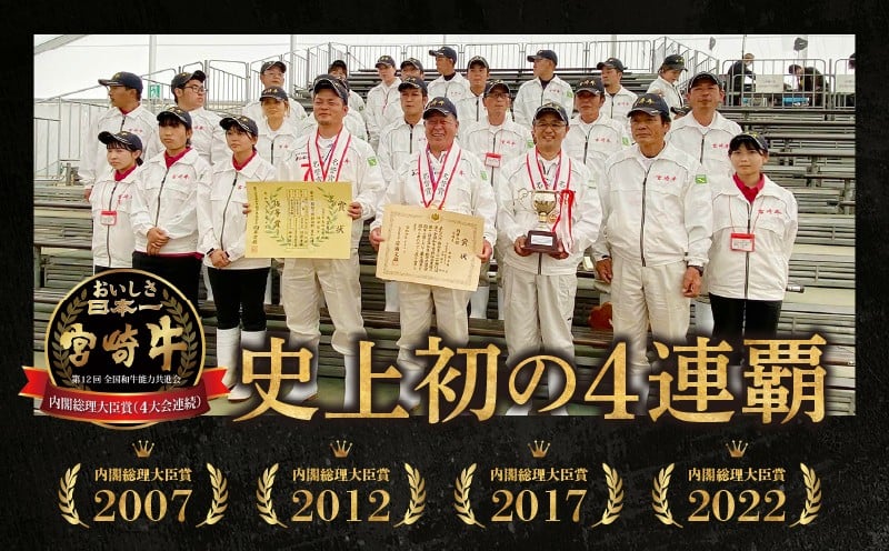 宮崎県産黒毛和牛A4等級以上 高千穂牛すじ 500g×2パック A145