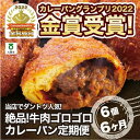 【ふるさと納税】【6か月定期便】カレーパン 6個 牛肉 ゴロゴロ グランプリ 金賞受賞 | パン 食品 美味しい 冷凍 お取り寄せ 国産 送料無料 人気 おすすめ 小分け 個包装 グルメ 肉 お肉 温めるだけ セット 詰め合わせ　定期便