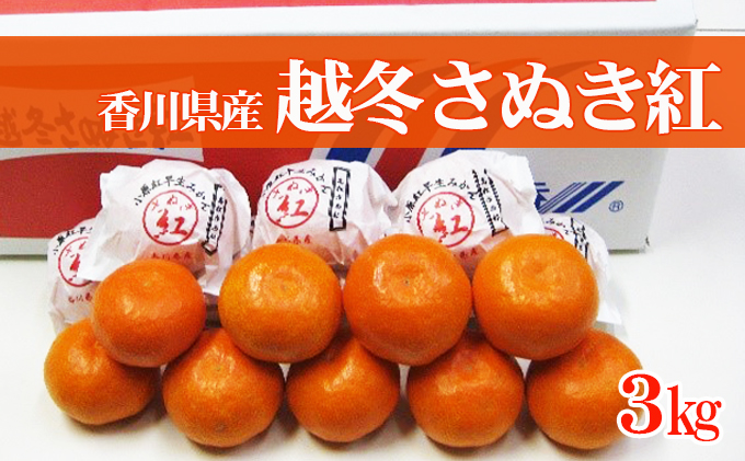 みかん 越冬完熟 さぬき紅 さぬき紅みかん 小原紅早生みかん 小原紅早生 香川県産 国産 約3kg 樹上完熟 越冬 早生みかん 温州みかん 香川県オリジナル品種 希少 柑橘 柑橘類 蜜柑 ミカン 果物 くだもの フルーツ 果実 五色青果 香川県 東かがわ市 46312056