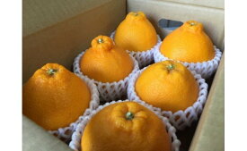 ZE6112n_【2026年先行予約】有田の不知火(しらぬひ)　6玉× 3箱（L～2Lサイズ）まごころ手選別