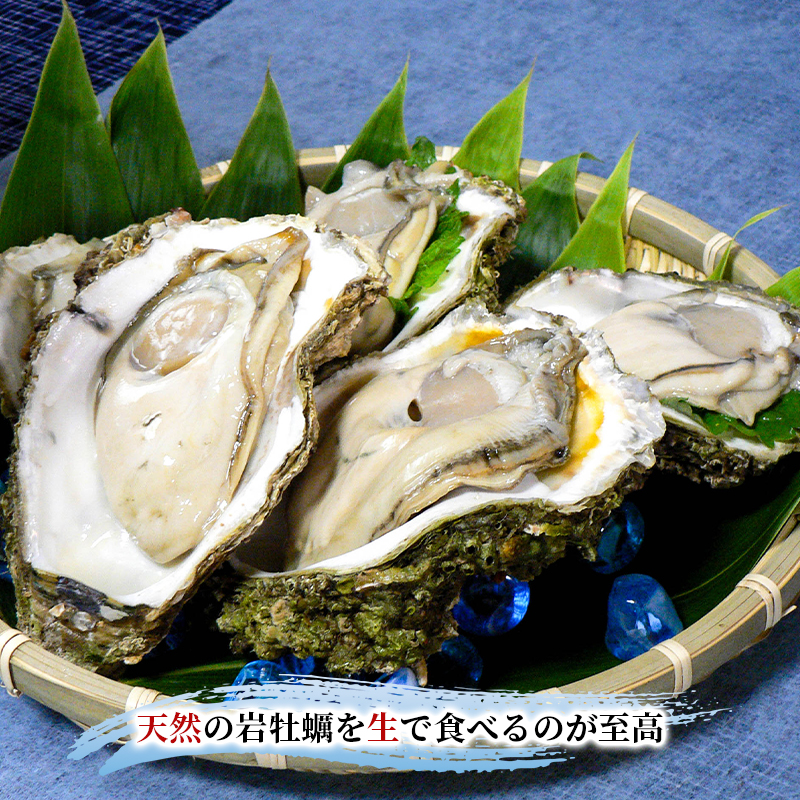 【 先行予約 7月上旬～下旬発送予定】象潟産 天然岩牡蠣 5～6個 ナイフ無【 牡蠣 夏牡蠣 かき 象潟 生食可 魚介類 海鮮 海産物 海の幸 】 さとう鮮魚店