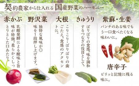 めしどろぼ漬け10袋セット　漬物 漬け物 香の物 副菜 郷土料理 お漬物 ご飯のおとも うら田 TR4318