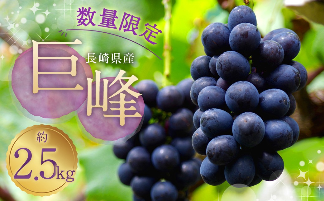 
                  種あり巨峰 約2.5kg ぶどう 果物 くだもの フルーツ 長崎県産 【2026年8月下旬～9月上旬迄発送予定】|巨峰 葡萄 ぶどう ブドウ 令和8年発送 期間限定 長崎県産 時津産 フルーツ 果物 巨峰 葡萄 ぶどう】
                