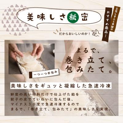 ふるさと納税 四万十市 手づくり一本釣りカツオ餃子(8ケ入×8パック)たれ付き　にんにく不使用 R5-1023 |  | 02