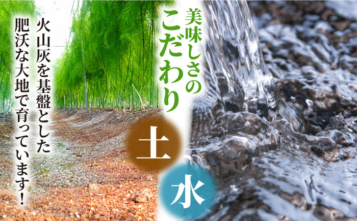 【2025年5月下旬〜発送】【数量限定】甘い！柔らかい！【星のアスパラ】グリーン アスパラガス 約1kg / アスパラ あすぱら あすぱらがす 採れたて 新鮮 旬 産地直送 野菜 2L・L・M サイズ