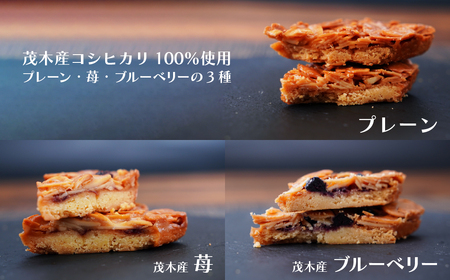 フロランタン 茂木町産米粉100% 12個 セット | フロランタン フロランタン フロランタン フロランタン フロランタン
