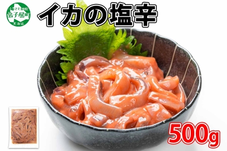 3163. イカの塩辛 500g イカ スルメイカ いか 珍味 海鮮 魚介 塩辛 ご飯のお供 烏賊 送料無料 北海道 弟子屈町