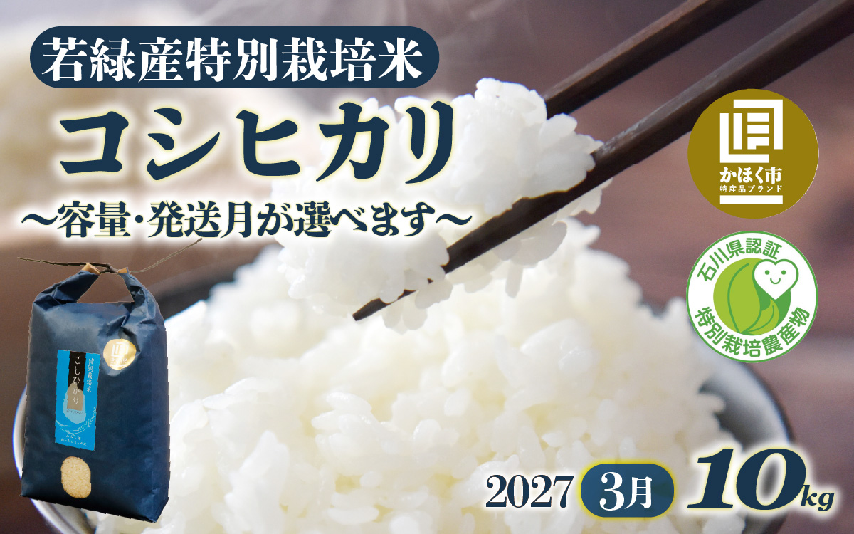 【先行予約】こしひかり 10kg【2027年3月発送】｜ コシヒカリ お米