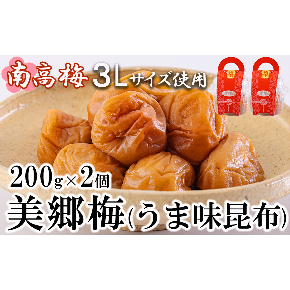 南高梅 梅干し 美郷梅 昆布 200g×2 3Lサイズ 塩分控えめ A級品 [農林産物直売所 美郷ノ蔵 宮崎県 美郷町 31ab0109] 国産 宮崎県産 美郷産 常温 送料無料 贈答品 父の日 母の