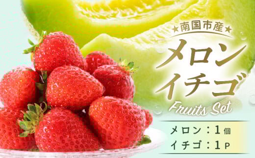 【先行予約】 メロンといちごセット（2026年1月～発送）| 早期予約 期間限定 マスクメロン イチゴ フルーツ 果物 厳選 高級 青肉メロン 人気 デザート ギフト プレゼント 贈り物 くだもの 旬 お取り寄せ ギフト めろん 甘い いちご イチゴ メロン 詰合せ 高糖度メロン 産地直送 メロン 2万円 20000 万円 西島園芸団地 高知県 南国市