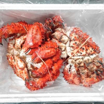 ふるさと納税 根室市 ＜12/21まで年内配送＞★花咲ガニ(オス・メス)各1尾(計1.5kg前後) D-57041 |  | 01