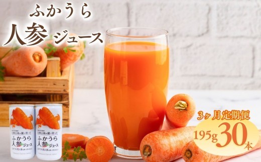 3カ月定期便 ふかうら雪人参 ジュース 195g 30本 雪にんじん 野菜ジュース 青森県深浦町