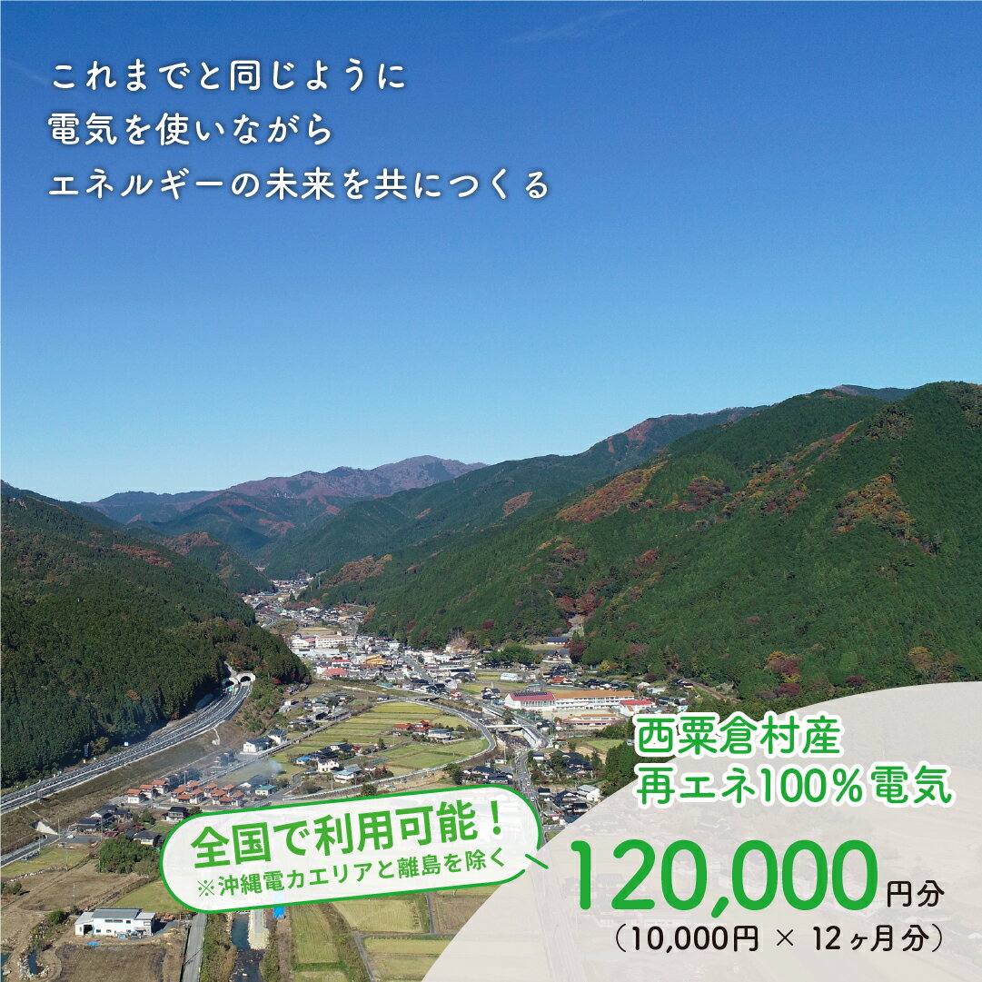 【ふるさと納税】電気料金 （10,000円×12ヶ月分） 百森でんき CO2フリー 地域電力 お礼の電気 脱炭素 ゼロカーボン 岡山県 西粟倉村 【まずは寄付のお申し込みを！】 e-vv-A07D