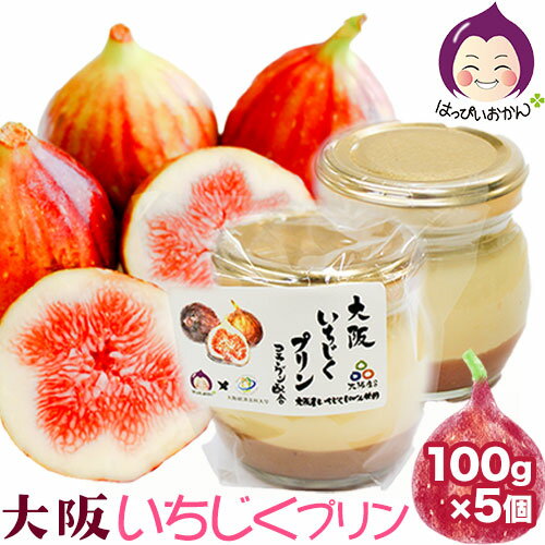 【ふるさと納税】 大阪いちじくプリン 100g×5個入り はっぴいおかん《30日以内に出荷予定(土日祝除く)》大阪府 羽曳野市 お菓子 スイーツ おやつ プリン 常温