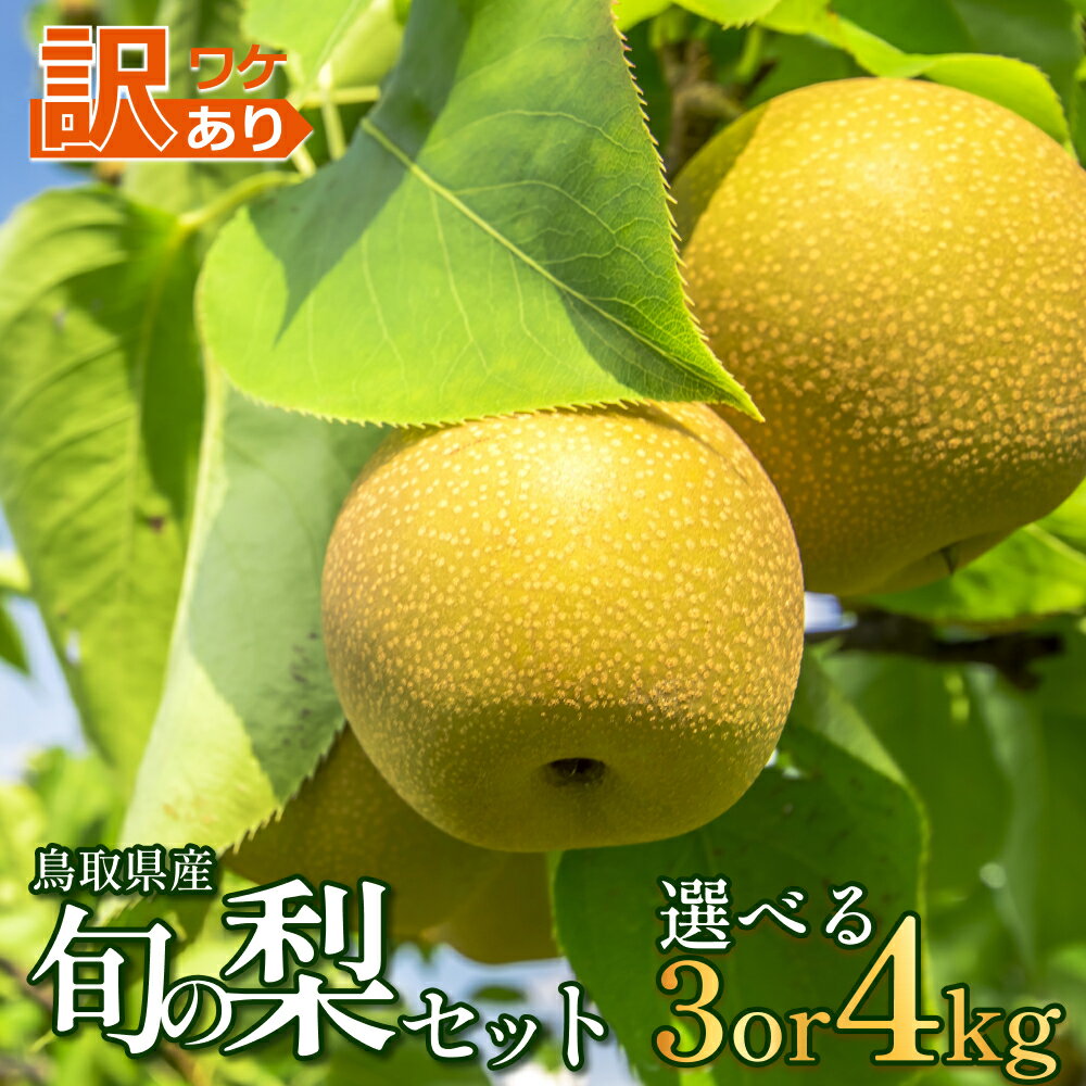 【ふるさと納税】【先行予約】 訳あり 鳥取県産旬の梨セット 3～4kg｜鳥取 果物 フルーツ なし 梨 和梨 旬 くだもの 選べる内容量 3kg 4kg 数量限定
