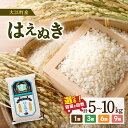 【ふるさと納税】大江町産 はえぬき 選べる内容量・配送回数(5kg〜90kg) 令和6年産 2024年産米 新米 米 ブランド米 お米 精米 単品 定期便