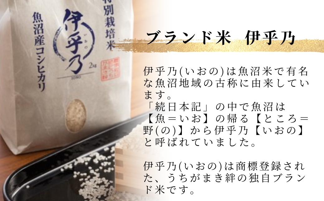 【JGAP認証農場】令和7年産 魚沼産コシヒカリ 特別栽培米「伊乎乃」 精米3kg うちがまき絆 | 新潟県産 コシヒカリ お米 米 おこめ こめ コメ こしひかり 白米 精米 魚沼産 ブランド米【0