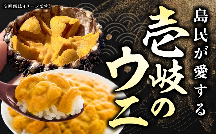 うに ウニ 雲丹 紫うに 紫ウニ 紫雲丹 ムラサキウニ 雲丹丼 ウニ丼