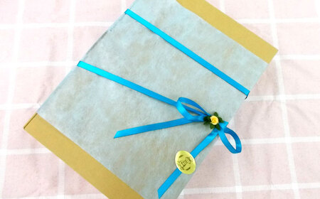 【全6回定期便】焼き菓子ギフトB / 焼き菓子 ギフト 詰め合わせ / 瀬戸市 / 社会福祉法人くわの実福祉会かいこ[BBBU013]