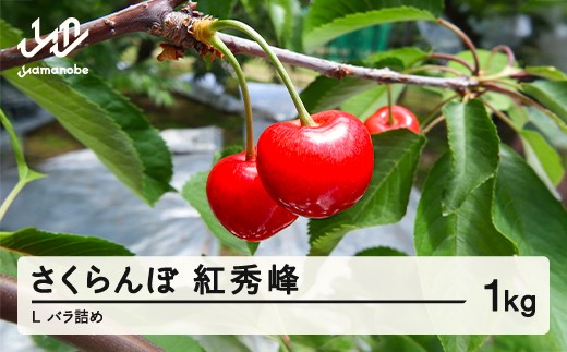 
                  【先行予約】2025年 山形県産さくらんぼ 紅秀峰 秀L 1kg バラ詰め　sa-bsslb1000
                