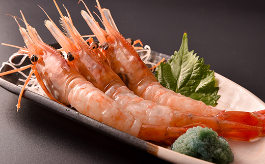 北海道噴火湾産 刺身用 子持ちボタンエビ 500g(9尾~10尾) 北海道産 えび エビ 海老 ぼたんえび ボタンエビ 牡丹エビ 刺身 子持ち 海鮮 冷凍 mr1-1564