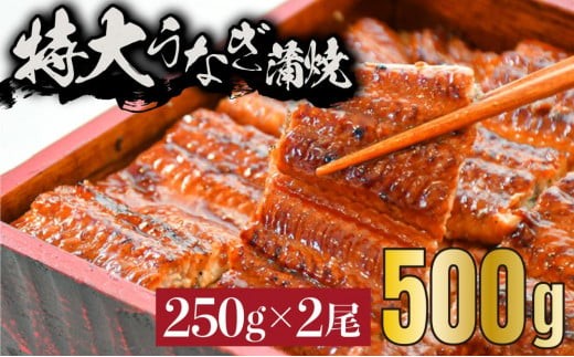 
                  《特大》うなぎ 蒲焼焼き 2尾　500g（250g×2尾）　中国産　B-1035
                
