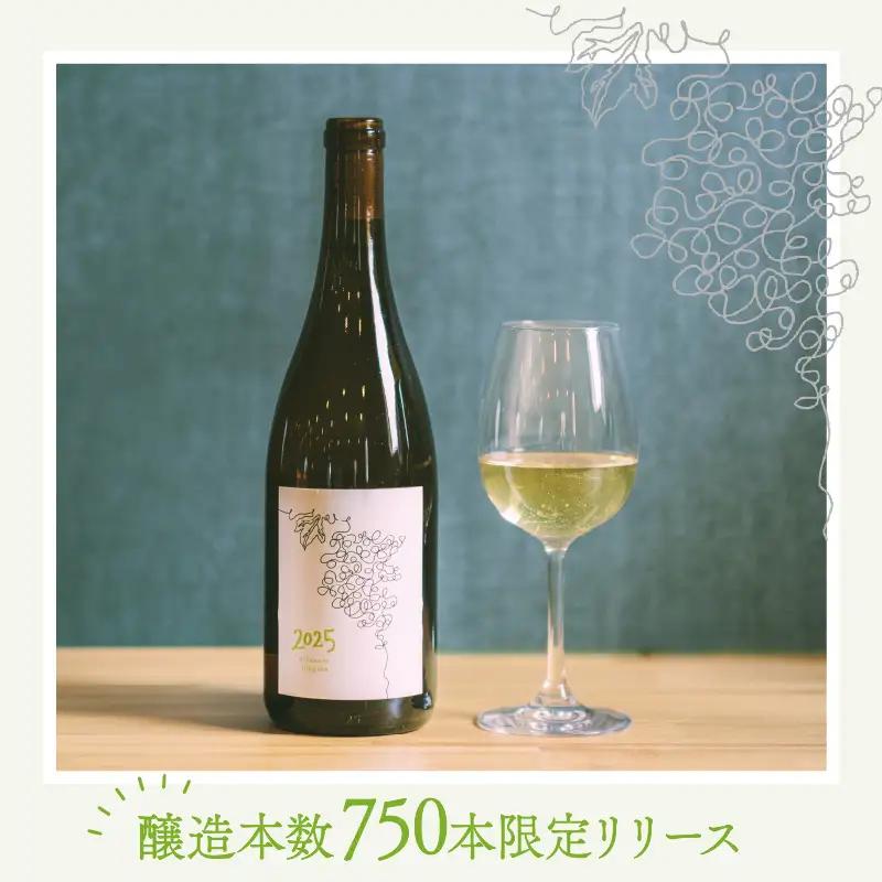 ワイン デラウェア ニアガラ 2025 750ml 河北町産 ワイン