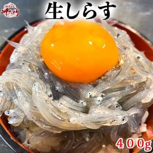 生しらす お刺身 400g(100g×4個) 岬だより 生しらす生しらす生しらす刺し身刺身