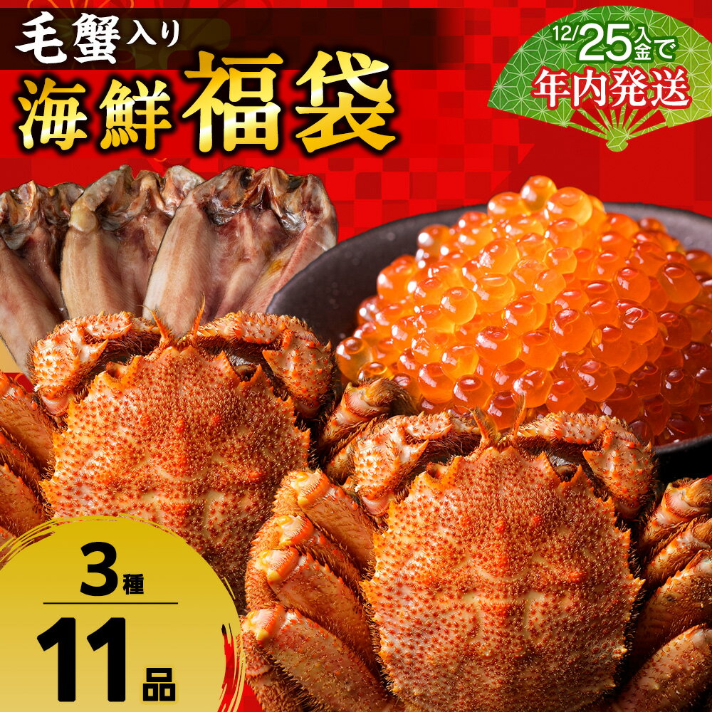 【ふるさと納税】【12月25日決済確定分まで年内発送】毛蟹入り！海鮮福袋＜竹＞いくら ほっけ 一夜干し ボイル 毛がに 毛ガニ 毛蟹 ボイル 蟹 カニ 海鮮 海産物 北海道ふるさと納税 稚内 ふるさと納税 北海道