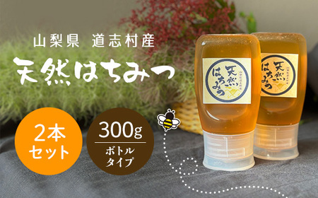 道志村産　天然はちみつボトルタイプ　300g×2本 DSD005　