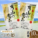 【ふるさと納税】【令和6年産】特別栽培米 つや姫10kg（5kg×2袋）2024年 山形県鶴岡市産　米工房月山 | 山形県 鶴岡市 返礼品10キロ おこめ お米 つやひめ お取り寄せ ご当地 コメ 単一米