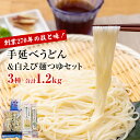 【ふるさと納税】【能登半島地震復興支援】 元祖！老舗うどん屋の手延3種計6袋＆白えび麺つゆセット 高岡屋本舗 氷見 うどん 氷見うどん 乾麺 詰め合わせ セット 食べ比べ しろえび つゆ付き