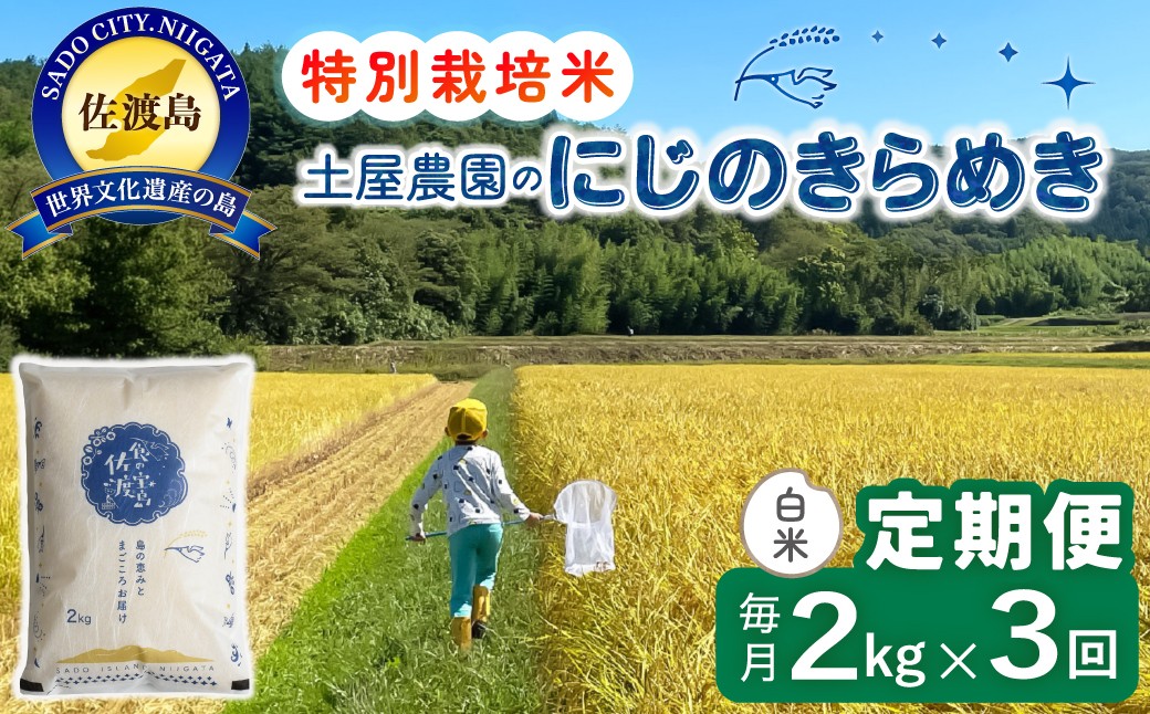 
                  【3か月定期便 にじのきらめき】佐渡島産にじのきらめき 白米 合計6kg（2kg×毎月お届け全3回）令和8年産 新米 特別栽培米 | 新潟県産にじのきらめき 新潟産にじのきらめき 佐渡産にじのきらめき にじきら 虹のきらめき お米 米 白米 精米 ブランド米 おこめ コメ 2キロ 大粒 にいがた さど 新潟県 佐渡市
                