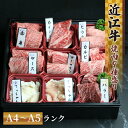 【ふるさと納税】 近江牛 焼肉 9種 盛り合わせ 360g 冷凍 ( 近江牛 カルビ ロース ハラミ サーロイン 希少部位2種 赤身 黒毛和牛 ブランド和牛 牛肉 切り落し 贈り物 ギフト 国産 滋賀県 竜王町 岡喜 霜降り 神戸牛 松阪牛 に並ぶ 日本三大和牛 父の日 )