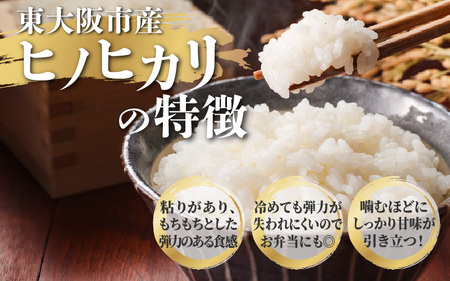 【スピード発送!! 】 東大阪市産 ヒノヒカリ 令和7年度産  10㎏ お米マイスター厳選 トライ米【1週間以内に発送】【東大阪市産ヒノヒカリ】 【お米マイスター厳選 米 お米 白米 コメ ひのひかり