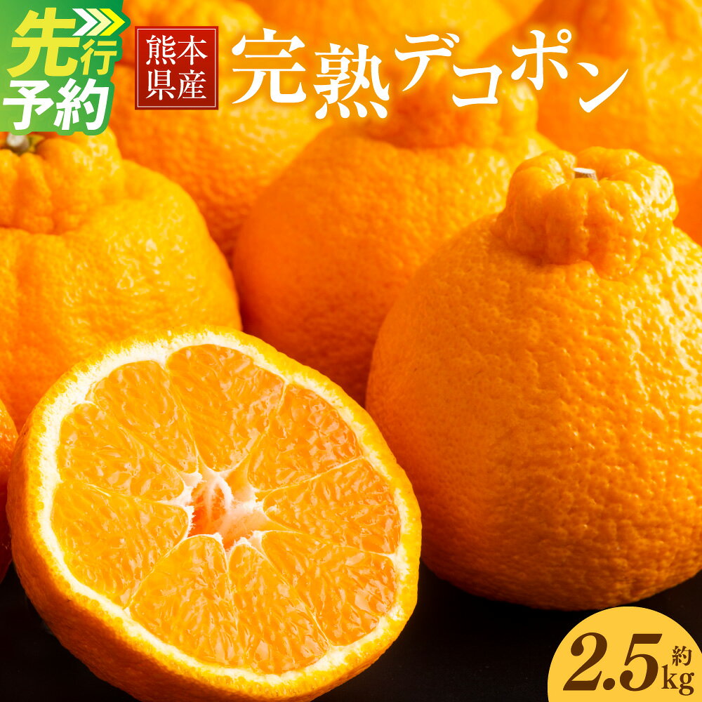 【ふるさと納税】 熊本県産 完熟デコポン 約2.5kg 10〜12玉 1玉あたり約200g～250g デコポン 柑橘類 果物 フルーツ 蜜柑 国産 九州 熊本県 常温保存可 送料無料 【2027年3月上旬～4月下旬発送予定】