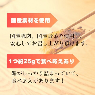 創業昭和五十三年　すすきの　冷凍にんにく生餃子　25g×11個　5パック　計55個【餃子のタレ付き】【配送不可地域：離島・北海道・沖縄県・四国・九州】