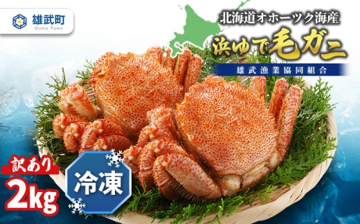 
            北海道オホーツク 海産 訳あり　浜ゆで毛ガニ　2kg（冷凍）| 毛蟹 毛ガニ 毛がに　蟹 かに  カニ 2kg オホーツク産 雄武町 雄武産 ふるさと納税 雄武 海産 海鮮 訳あり 浜茹で 冷凍【07129】
          