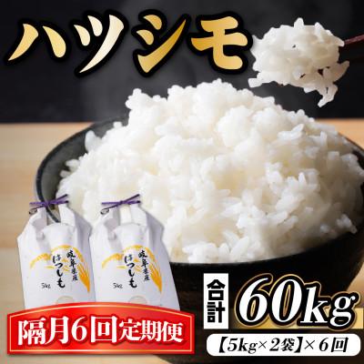 ふるさと納税 羽島市 【2ヵ月毎定期便】岐阜県産ハツシモ　10kg(精米5kg×2袋)全6回