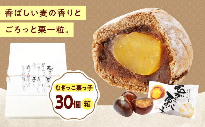 お菓子 むぎっこ栗っ子（30入箱） おやつ 菓子 お茶 スイーツ 広島県福山市/有限会社勉強堂 [BAFL035]
