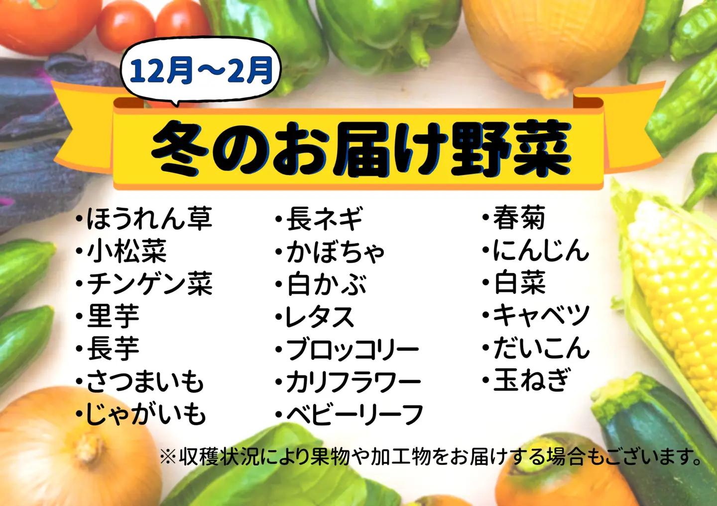 七宗町から発送　新鮮野菜詰めあわせセット(季節の野菜7～8種類) 七宗町ふるさと開発