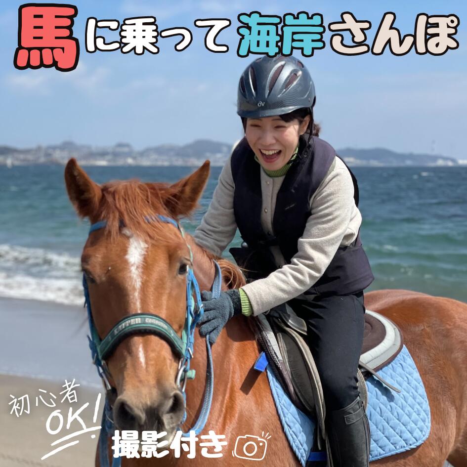 【ふるさと納税】 馬と風光明媚な三浦の街と海岸で過ごす 馬に乗って三浦をお散歩〜海岸外乗120分〜