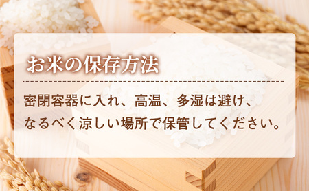 新潟県産新之助 霊峰米山 お米のお山のふもとから 上越柿崎 岸田米 新之助（ぼくらのMaiMaiMaiバージョン） 白米5kg 米 名水 こめ おすすめ 人気 ふるさと納税 新潟 新潟県産 にいがた 