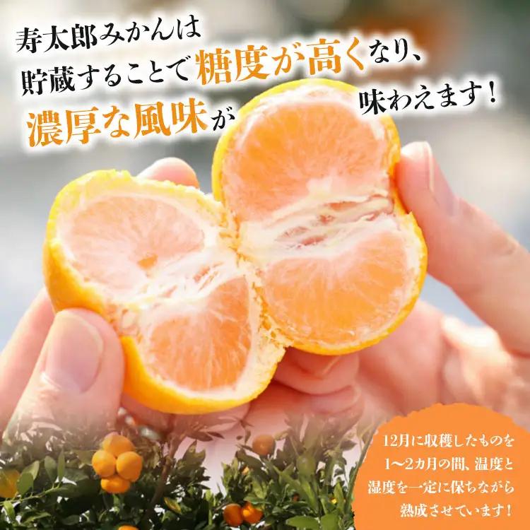 【1月中旬〜2月発送】寿太郎みかん 3kg みかん 果物 ms-0085
