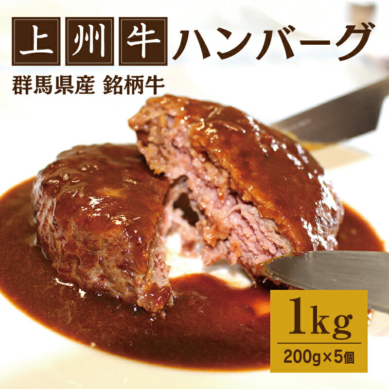 【ふるさと納税】【172】上州牛入りハンバーグ1kg（200g×5個）